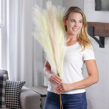 Load image into Gallery viewer, Amazon Product Images