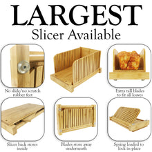 Load image into Gallery viewer, Amazon infographic image on a white background